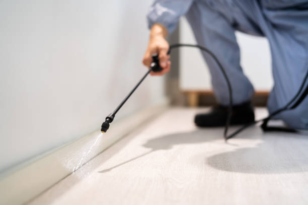 Licensed Termite Control service in Bull Run, VA - Nex Pest Control