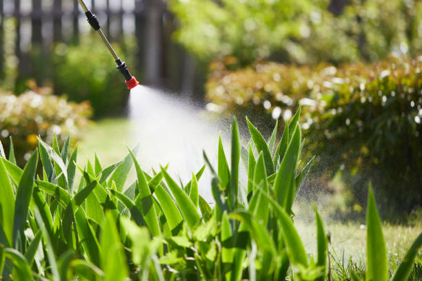 24/7 Emergency Termite Control experts in Bull Run, VA