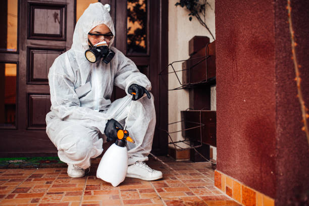 Reliable Termite Control contractor in Bull Run, VA by Nex Pest Control