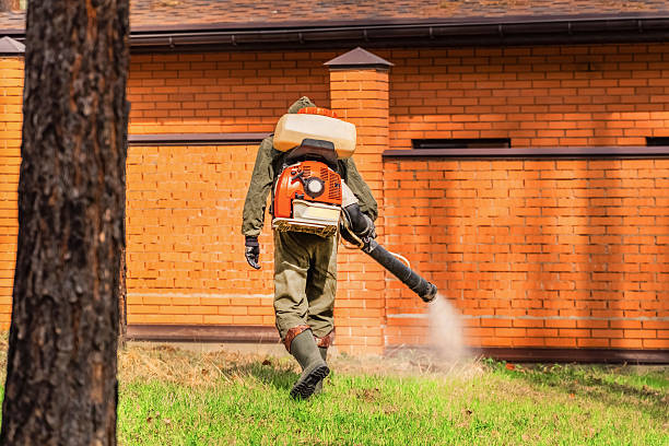 Trusted Termite Control service in Bull Run, VA - Nex Pest Control